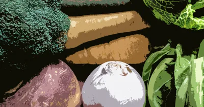 How God Helps Me Eat on $33 Per Week