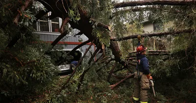 Major winter storm drives snow, heavy rain across U.S.