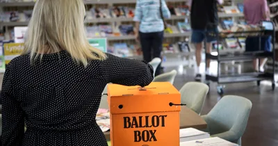 New Zealand Could Lower Voting Age to 16 after Court Ruling