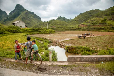 Missionaries use practical skills to advance Gospel | Baptist Press
