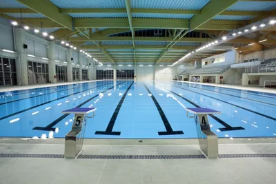 USA Swimming official resigns after 30 years, says trans policy is 'destroying' the sport
