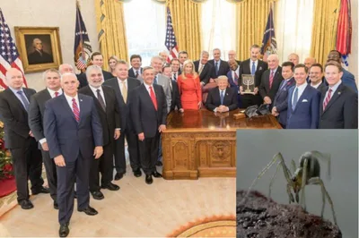 Pastor Mark Burns Saves Donald Trump From Poisonous Spider Bite in Oval Office
