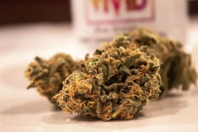 Minnesota groups including Catholic Church unite to oppose marijuana legalization