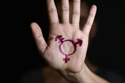 New website aims to educate, offer Catholic response to gender ideology