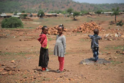 Ethiopian bishops reiterate call for peace in their country