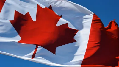 Canada's Gov't Assisted Suicide Program Leads the World in Harvesting 'Live' Organs