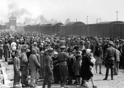 Poll: What Do Americans Know About the Holocaust? Some, Not Much