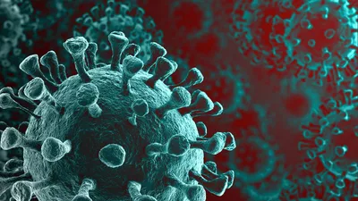 Israeli Scientists Identify the COVID Proteins That Can Trigger Heart Attacks, Strokes