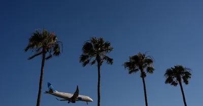 Robust Travel Expected for Memorial Day Despite Rise in Cost