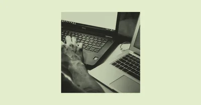 How to Stop Technology from Rotting Your Brain