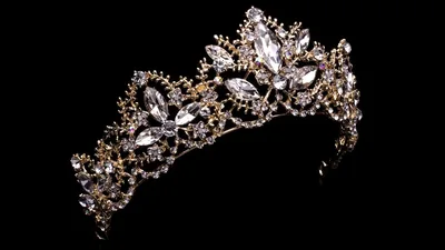 Biological Male Wins Local Miss America Pageant