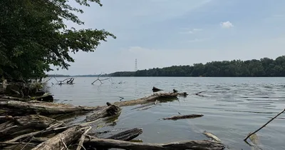 5 Drown in Ohio Swollen River after Swimmer Starts Struggling