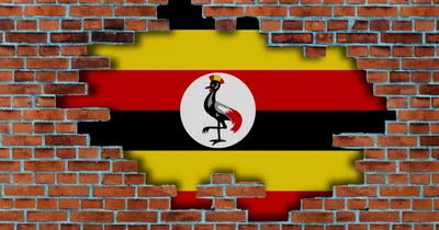 Wife in Uganda Killed for Converting to Christianity