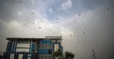 India battles triple disaster