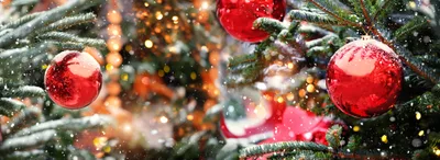 FIRST-PERSON: An encouragement for caregivers this Christmas | Baptist Press