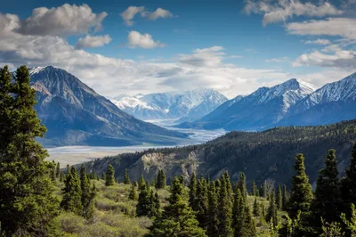 God ‘Making All Things New’ Doesn’t Mean Christians Can Ignore the Environment