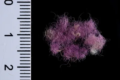‘Royal’ Purple Fabric Found in Israel Dates to Days of David & Solomon