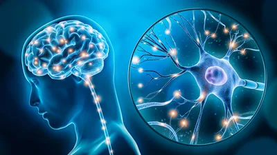 Top Psychiatrist Recommends These Habits to Improve Mental Health