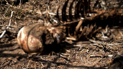Cartels Cash In as Migrants Try to Outrun the Law in Texas 'Corridor of Death'