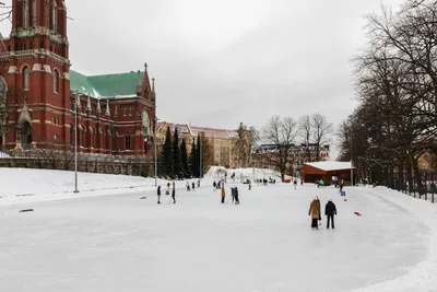 Winter in Helsinki: A European Capital without the Crowds
