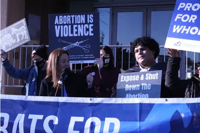 Pro-life Democrats demand end to party's 'horrible litmus test' on abortion