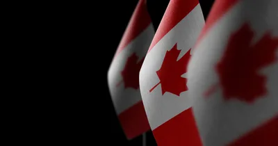 Euthanasia in Canada jumped nearly 16% last year with more than 15,000 deaths
