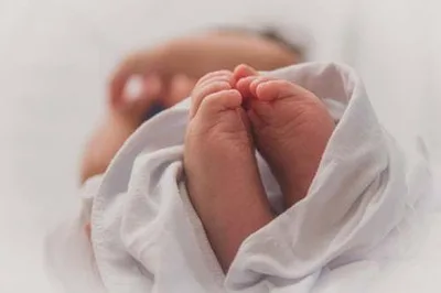 What should we do about declining birth rates?