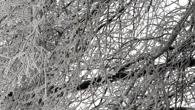 Send Relief Brings Help during Major Winter Storm | Baptist Press