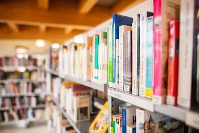 Librarians Struggling to Cope with Patrons’ Rampant Drug Use, Violence and Public Sex Acts