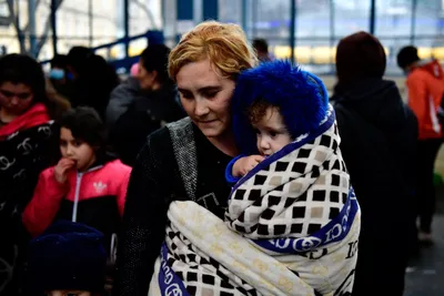 Fleeing war: Volunteers pitch in with agencies to evacuate Ukrainians