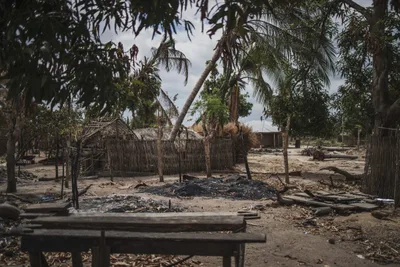 Over 50 beheaded by ISIS-aligned extremists in Mozambique raid