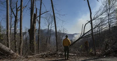 Wildfires Prompt Evacuations in North and South Carolina