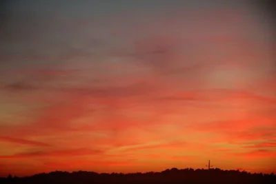 Revelation 4: The Rapture Question