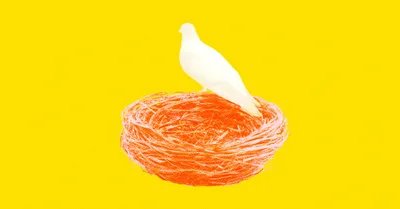 Emptying the Nest in Hope, not Fear