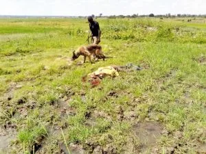 Christian Convert from Islam Killed in Eastern Uganda - Morningstar News