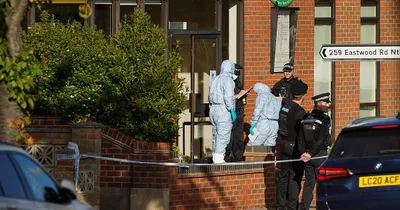 British Parliament member stabbed to death
