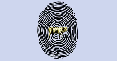 When Identity Becomes Idolatry
