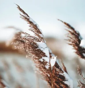 5 questions to ask as seasons change
