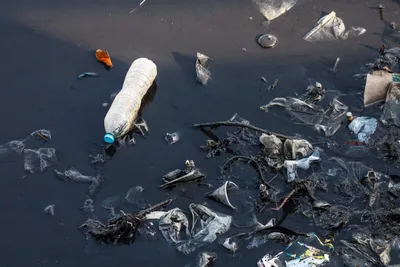 Ocean Plastic Pollution Reaches 'Unprecedented' Levels - RELEVANT