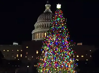 US Capitol Christmas Tree Guidelines No Longer Ban Religious Ornaments, Christian Group Says