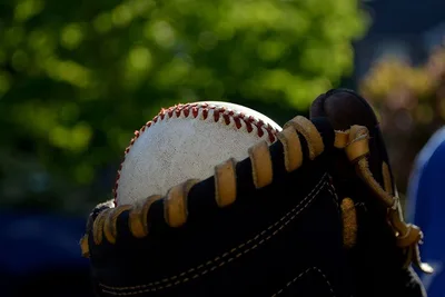 Knights of Columbus online exhibit explores baseball's Catholic history