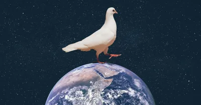 One Holy, Universal, and Apostolic Church—Even Your Weird Denomination