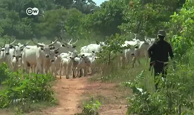 Three Christians killed in Plateau state, Nigeria