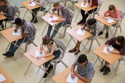 Don't Go to College Because It 'makes you stupid?'