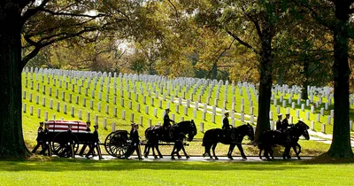 Financial Adviser Admits Swindling Families of Fallen Service Members