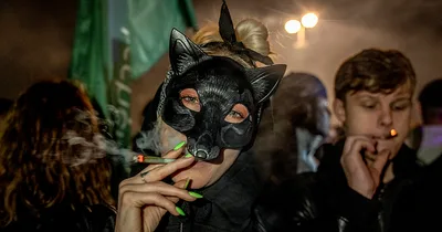 Germany Decriminalizes Weed amid Opposition