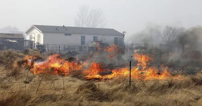 Wildfire scorches Arizona