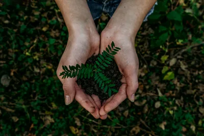 Why Christians Should Probably Care About Earth Day - RELEVANT