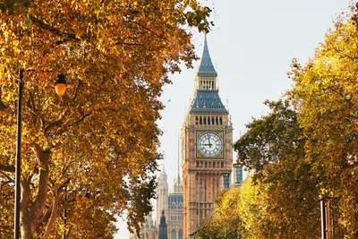 Will the latest bid to remove bishops from the House of Lords succeed?