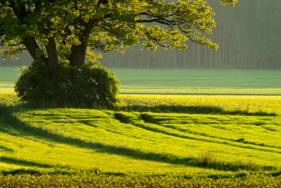 Rural vicars struggling with multiple churches and dying congregations